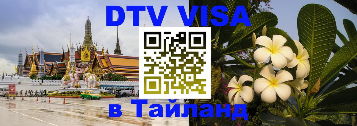 Оформление DTV визы под ключ: стоимость и тарифы, только загранпаспорт - 05.10.2025 